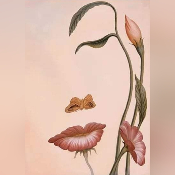 🌸Live & Share Shows Notifications🌸 - Picture 3 of 4